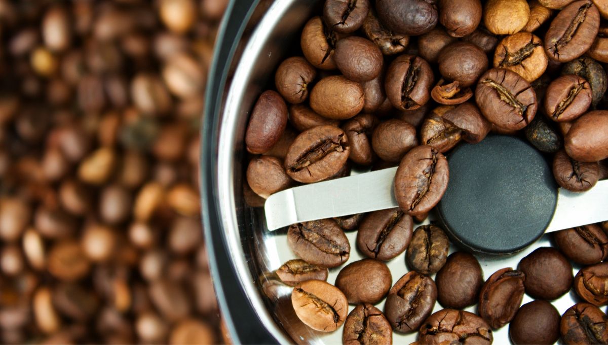 Moulin à café considéré comme l'un des meilleurs