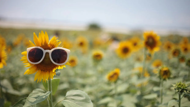 Pour l'Été Ma Caféine