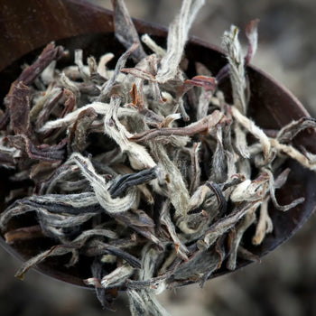 Thés blancs Ma Caféine