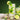 Maison Routin 1883 | Sirop Menthe Mojito - 1 Litre