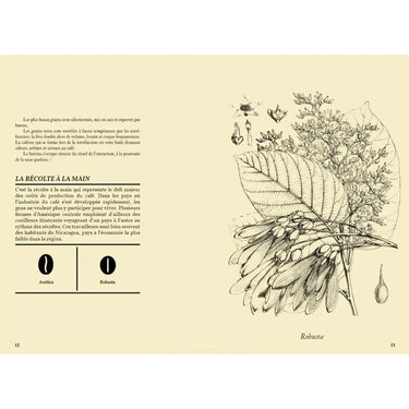 Caféine. Lieux Et Artisans D'Ici. Hamster + (Le Papetier)