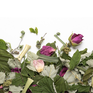 Camellia Sinensis | La Belle Humeur biologique (sac de 20g)