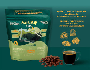 Infos MushUp Forêt café en grain
