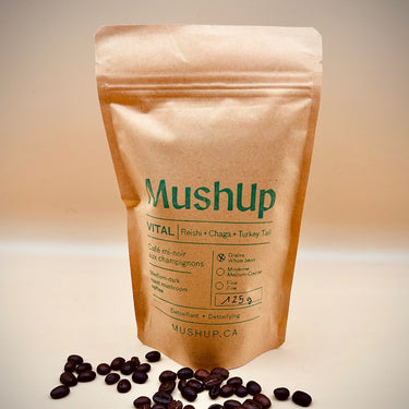 MushUp | Boîte découverte Vital, Vigor & Spark - 3 x 125gr