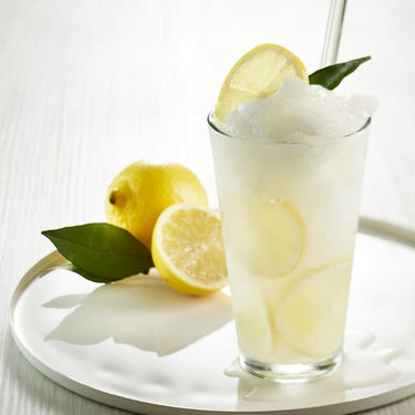 Maison Routin 1883 | Lemon Syrup - 1 Liter