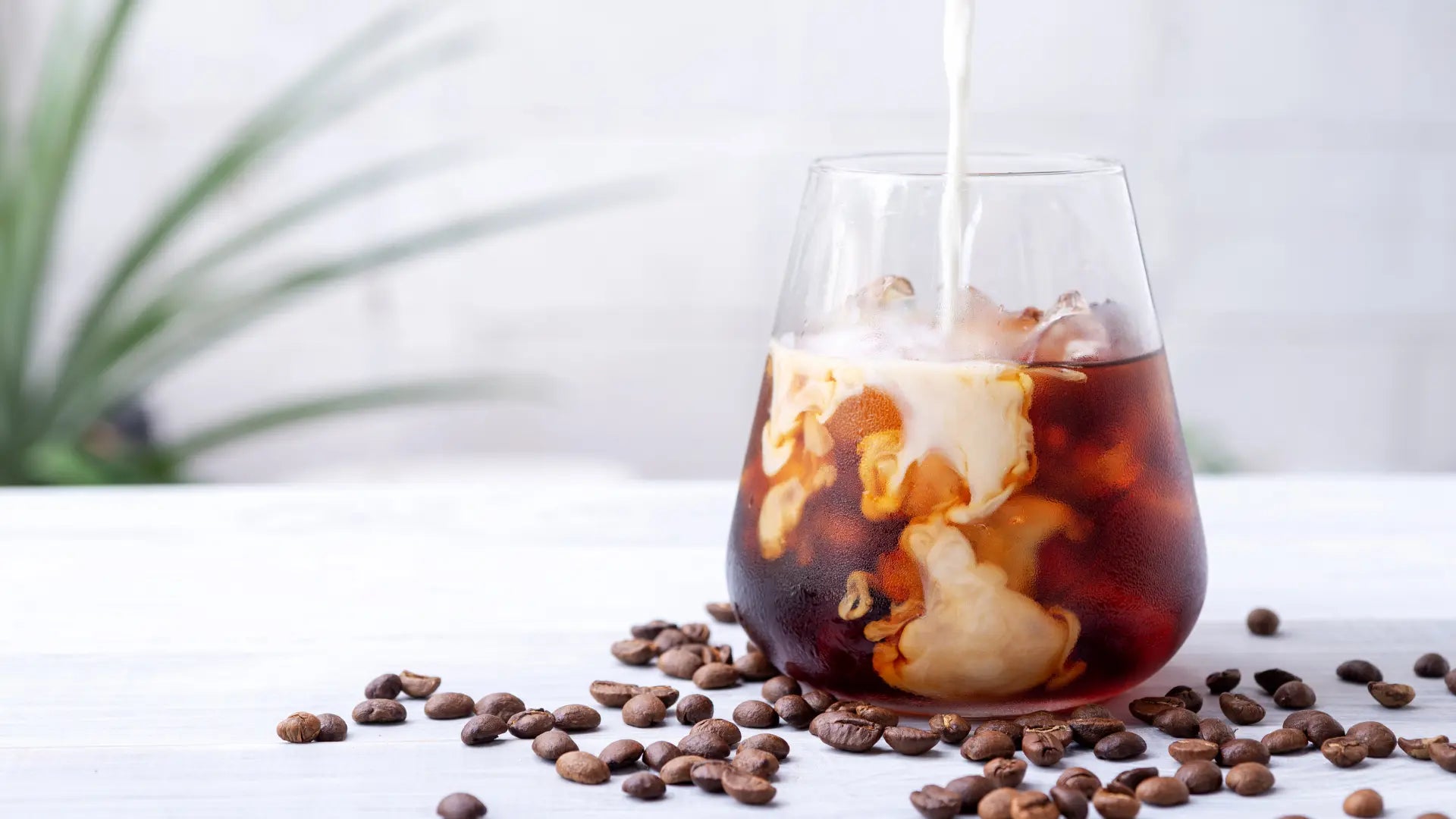 Le-Cold-Brew-histoire-conseils-et-recette-maison Ma Caféine