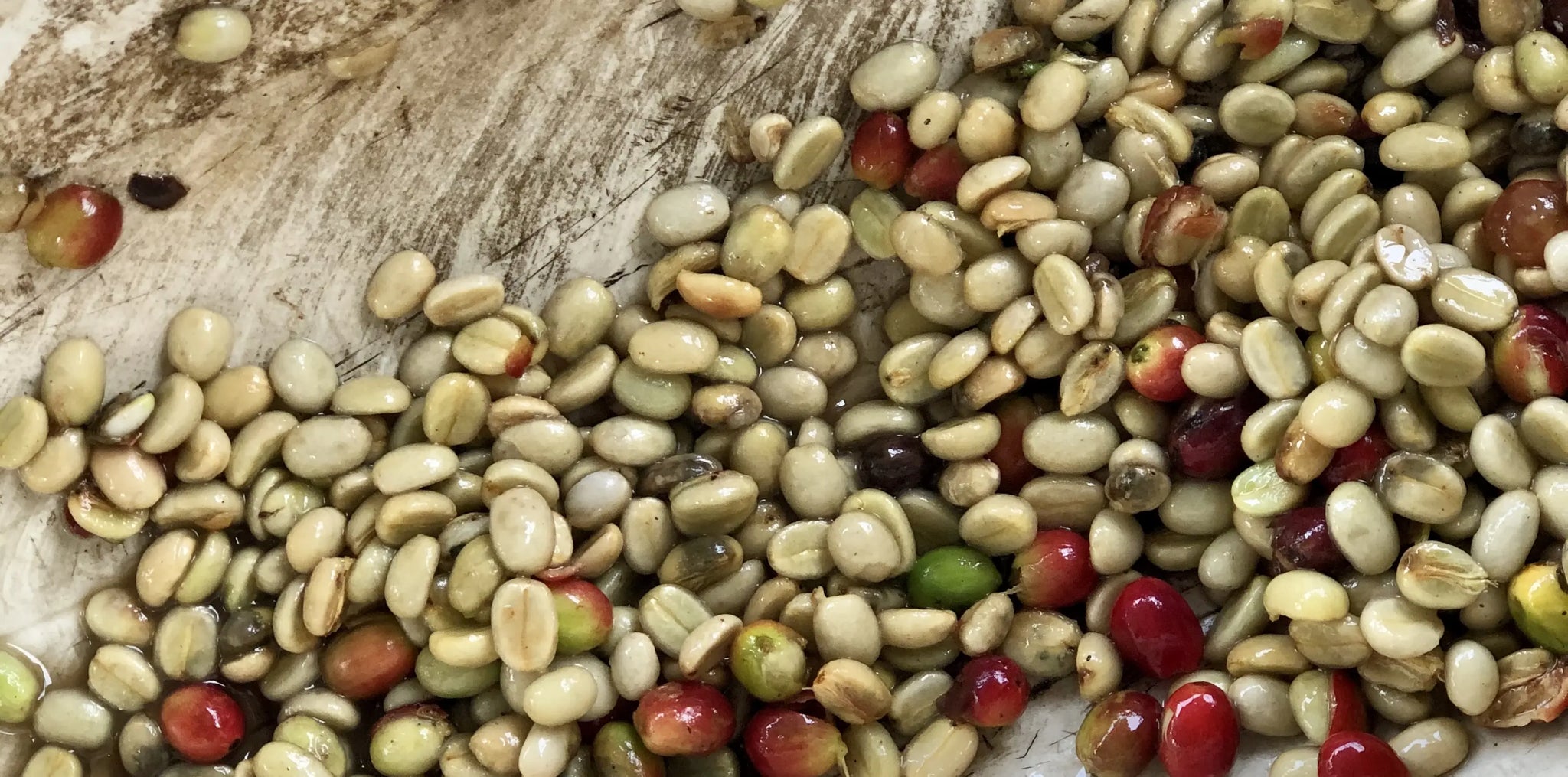 Le-café-décaféiné Ma Caféine