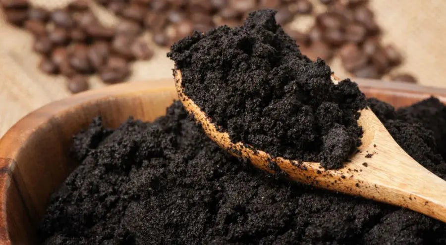 Nos-astuces-pour-utiliser-votre-marc-de-café Ma Caféine