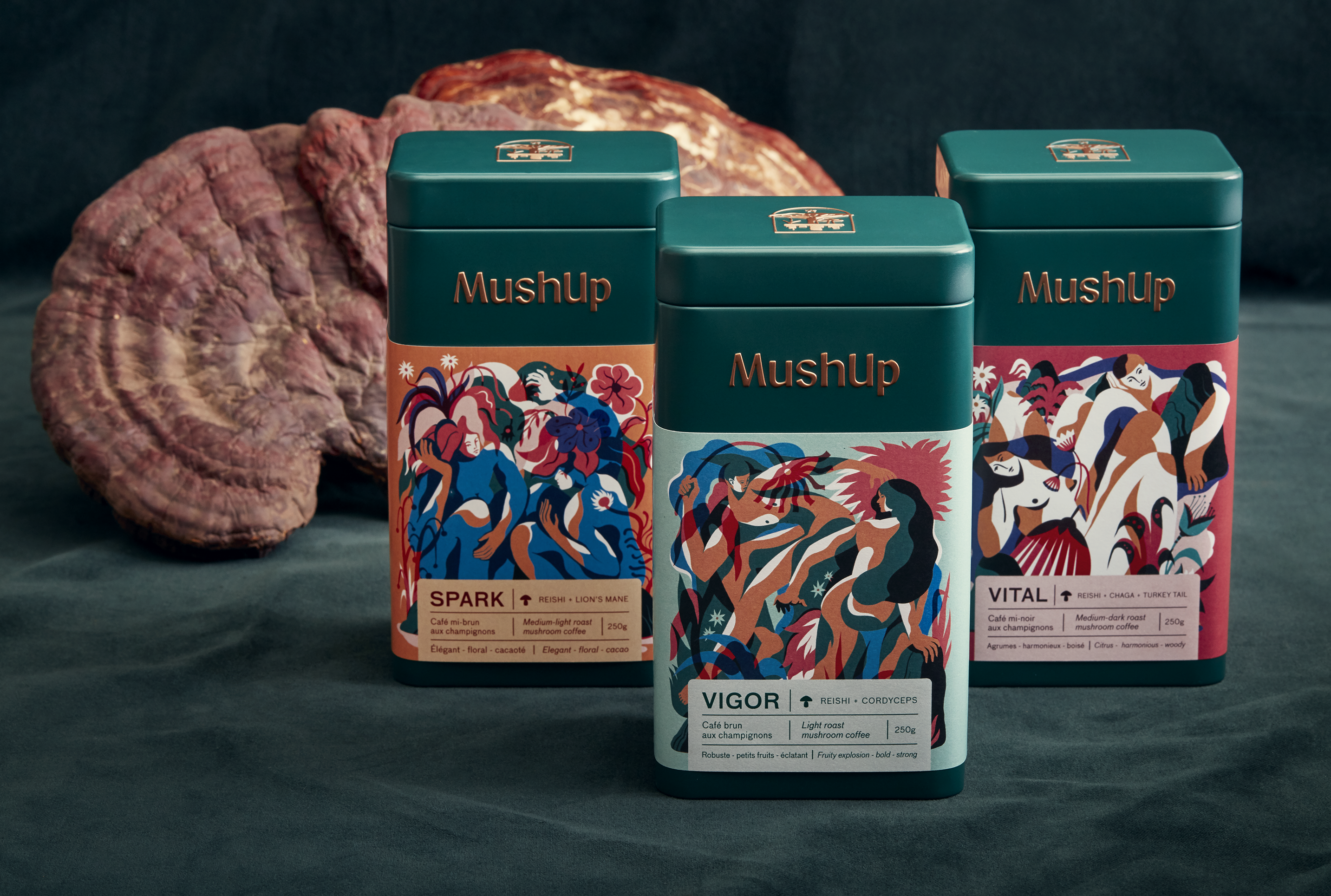 MushUp, les cafés aux champignons