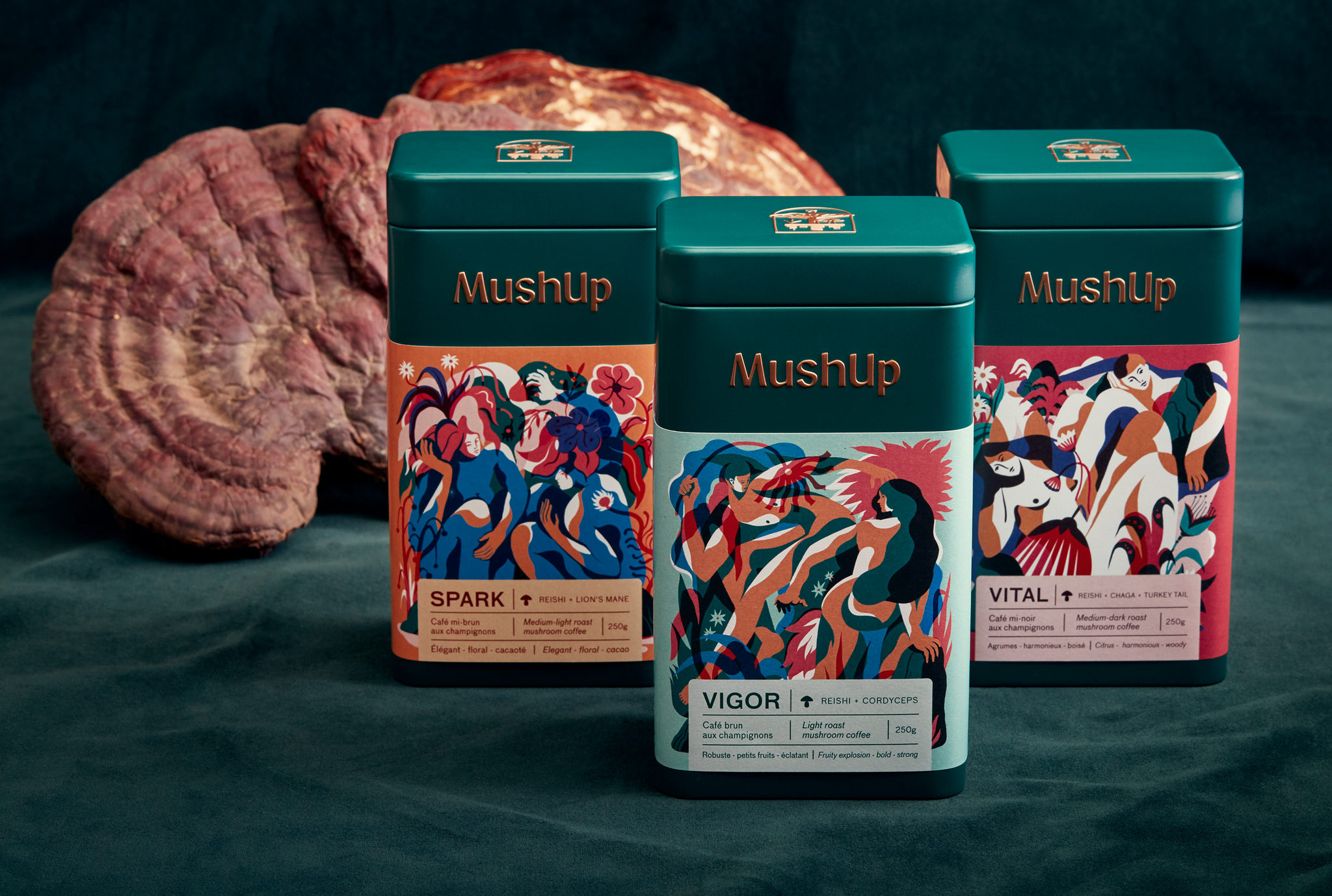 MushUp, les cafés aux champignons