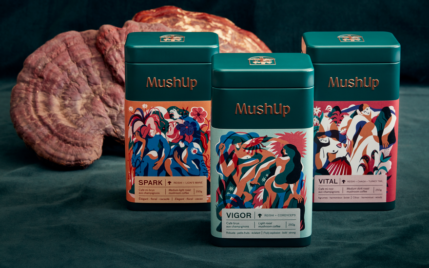MushUp, les cafés aux champignons