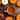 Tasse de café chaud entourée de petites citrouilles orange et blanches, bâtons de cannelle et anis étoilé sur une table en bois, ambiance automnale.