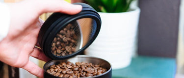 Café en grain dans un contenant hermétique