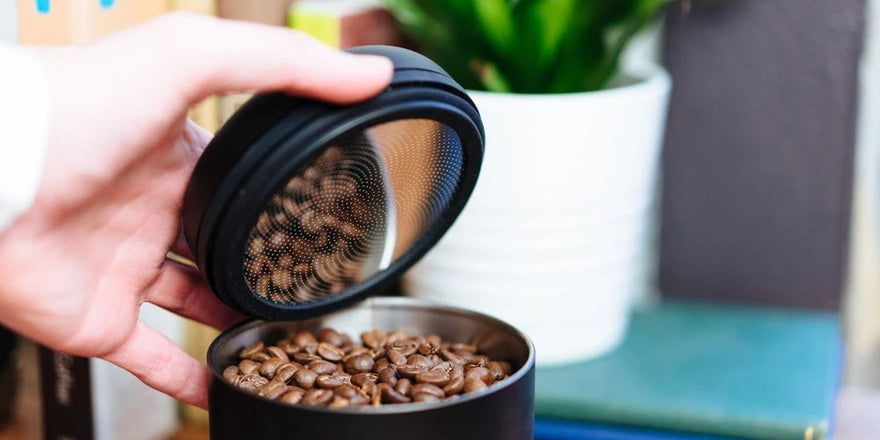 Café en grain dans un contenant hermétique