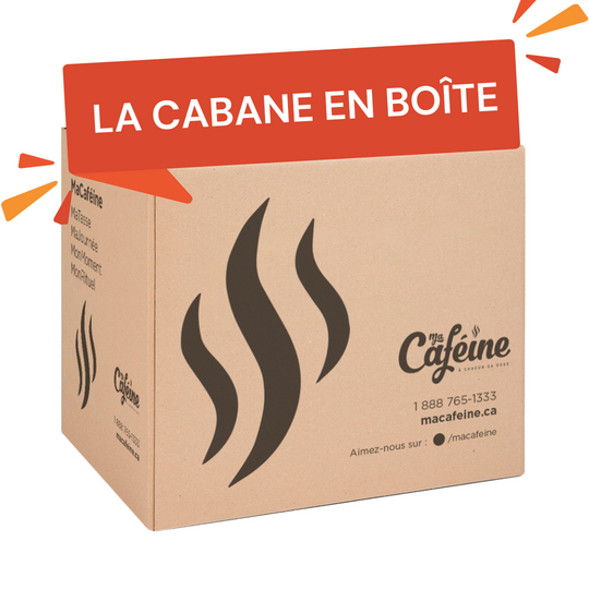 La Cabane en boîte!