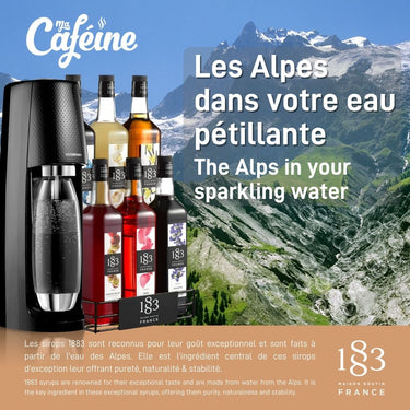 Maison Routin 1883 | Sirop Citron - 1 Litre
