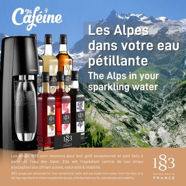 Maison Routin 1883 | 4 choices metal storage for syrups 1 liter
