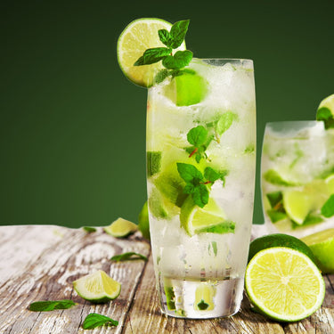 Maison Routin 1883 | Mint Mojito Syrup - 1 Liter