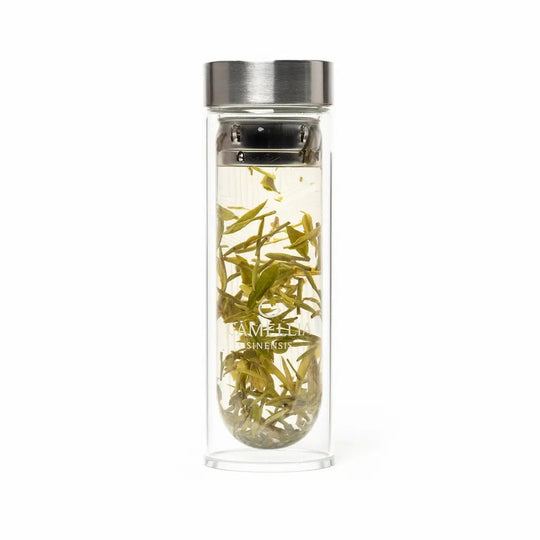 Camellia Sinensis | Bouteille à Thé en Verre Camellia Sinensis