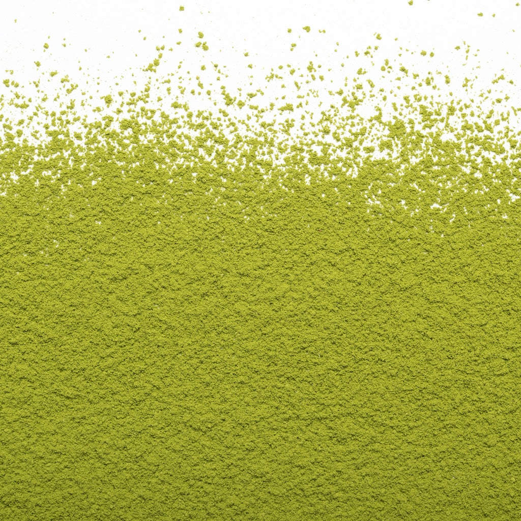 Camellia Sinensis Matcha Barista Japon 500gr