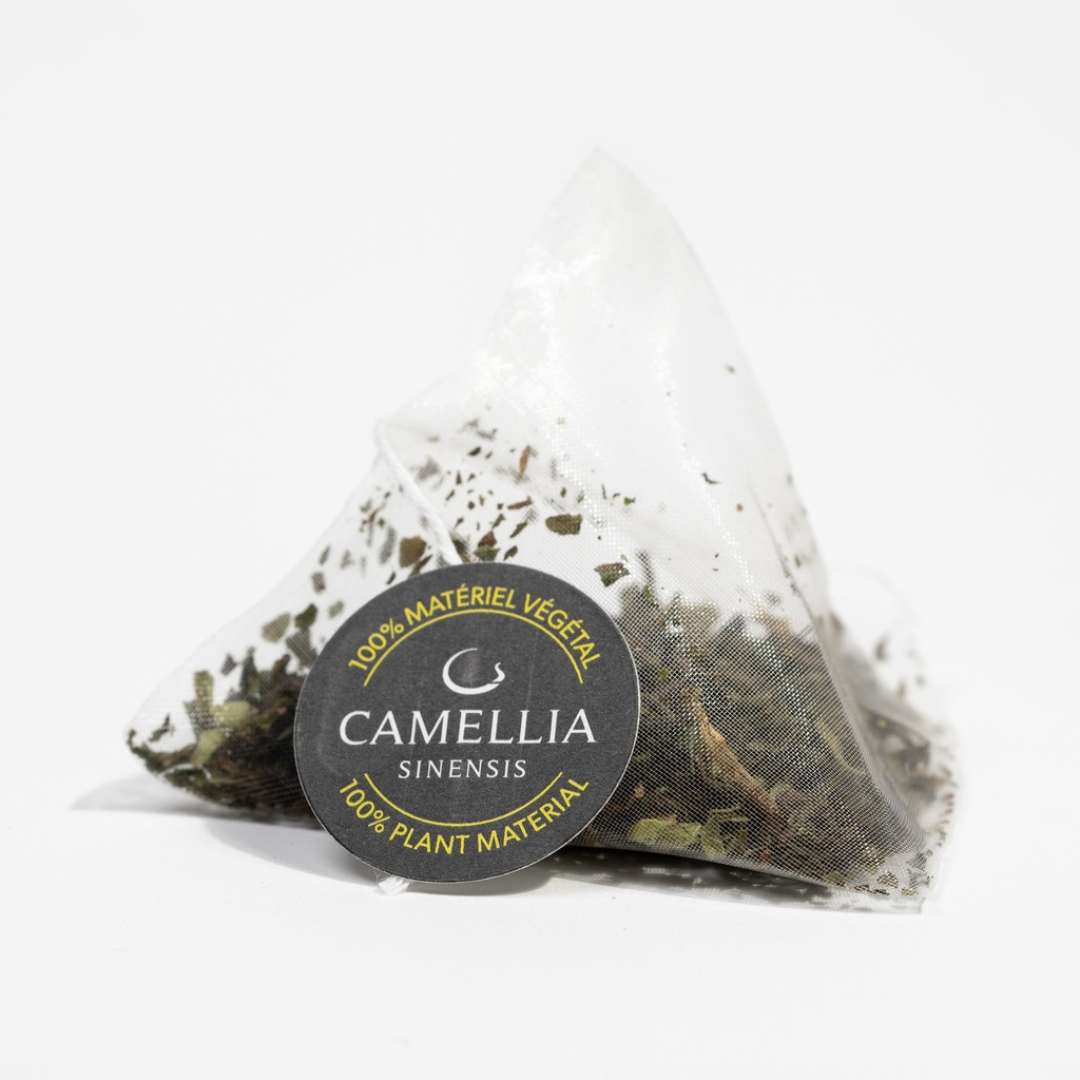 Camellia sinensis | Darjeeling JungPana (12 sachets)