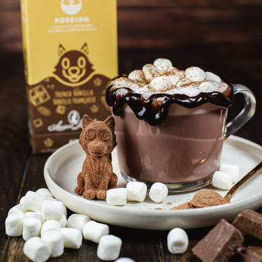 Poseidn | French Vanilla Hot Chocolate 3D Bomb - Box of 6