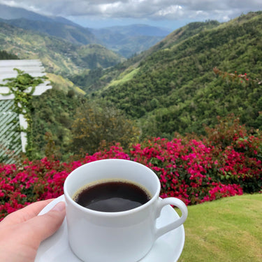 Ma Caféine | café 100% Blue Mountain Jamaica - 454g