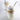 Maison Routin 1883 | Sirop Vanille - 65 ml Gerhards Importers Canada Ltd.