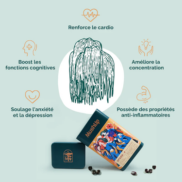 MushUp | Spark biologique - STIMULANT COGNITIF - 500gr