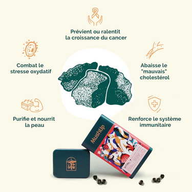 MushUp | Vital biologique - DÉTOXIFIANT- 500gr