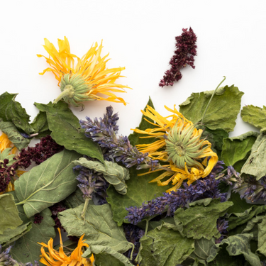 Tisane biologique L'Apaisante - Camellia Sinensis