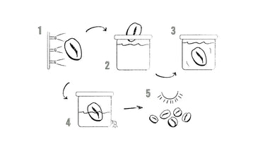 Processus de décaféination Colombien de Faro