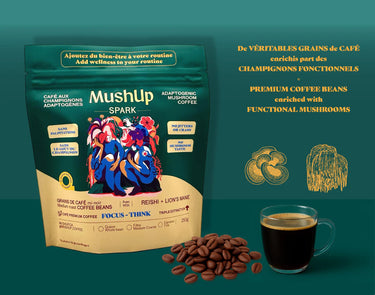 Infos Mushup Spark café en grain