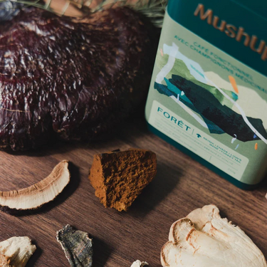 Lifestyle Forêt de Mushup