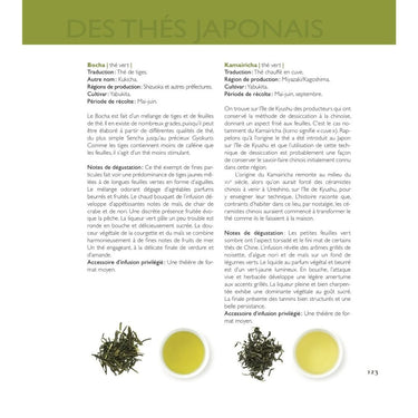 Camellia Sinensis | Tea, History, Terroirs, Varieties