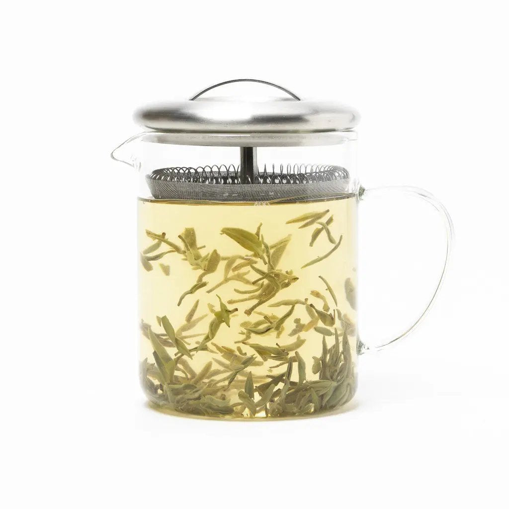 Camellia Sinensis | Bécher à infuser Camellia Sinensis