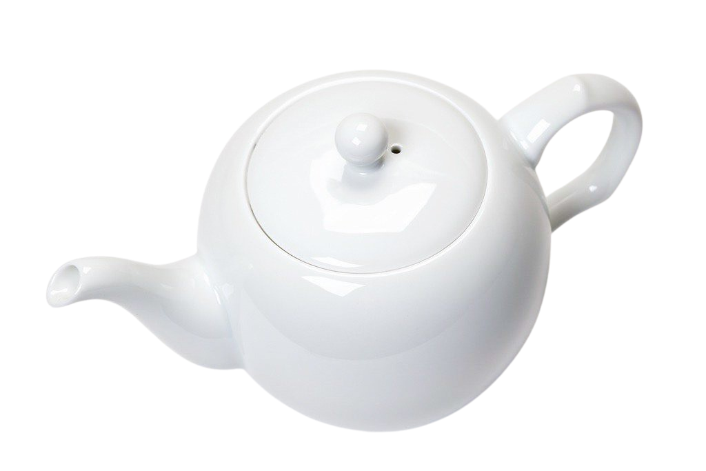 Camellia Sinensis | Théière blanche en porcelaine Camellia Sinensis