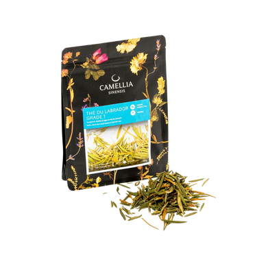 Camellia Sinensis | Labrador Tea
