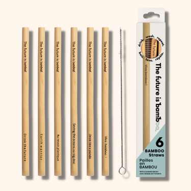 The Future is Bamboo | Pack of 6 bamboo straws