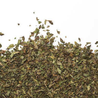 Camellia Sinensis | Mint organic & fairtrade (50 teabags)